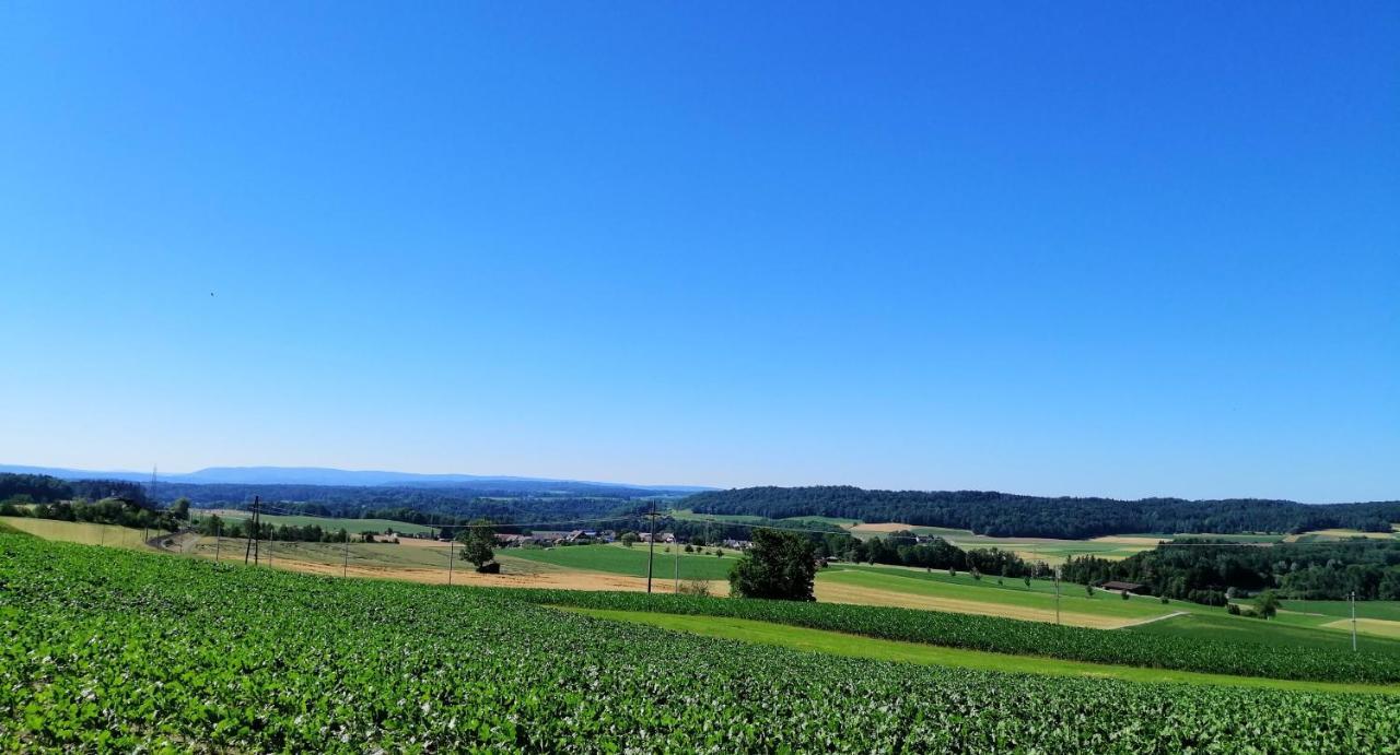 Apartmán A Casa Thalheim an der Thur Exteriér fotografie